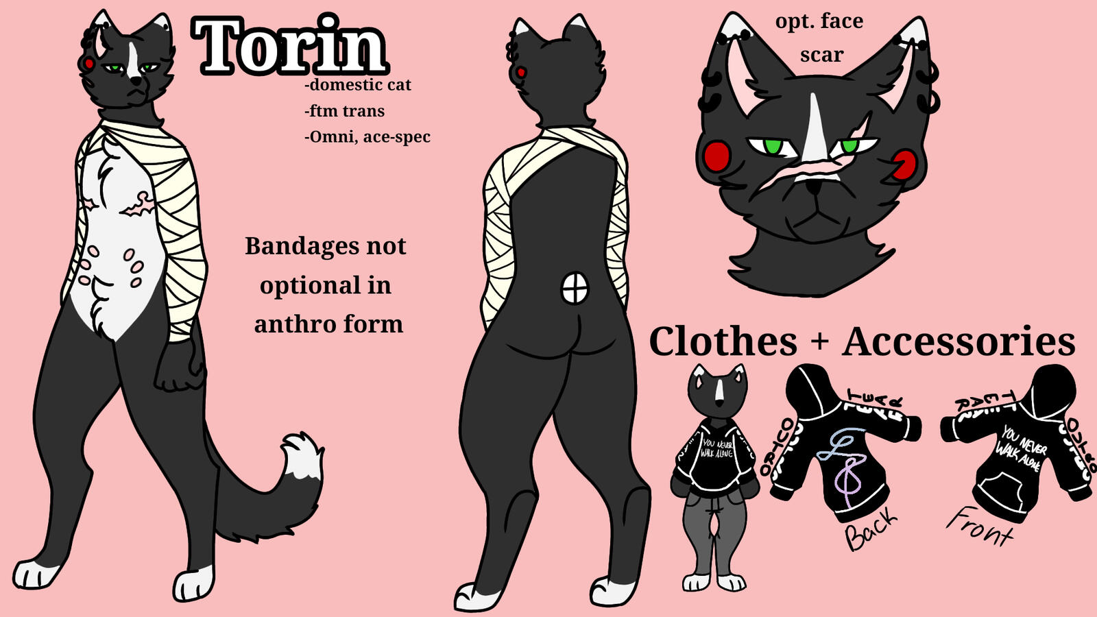 Complicated ref sheet (character design)
